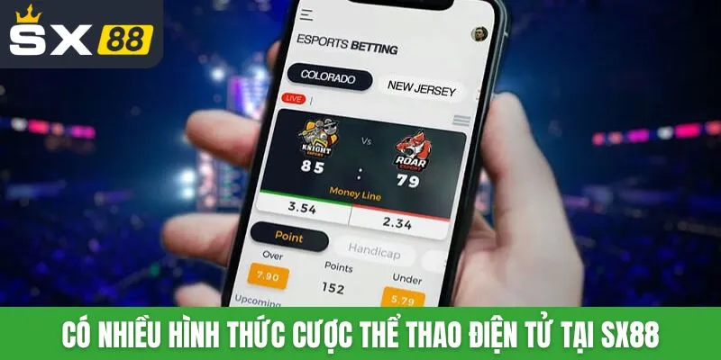 Có nhiều hình thức cược thể thao điện tử tại SX88